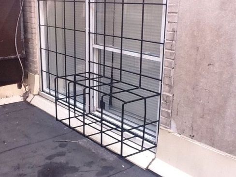 Windows grilles  - Dor Docteur image Dor Docteur