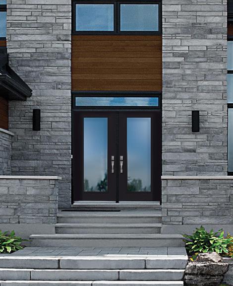 Clear glass steel door - Door Doctor image Clear glass steel door