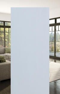 Frosted glass steel door - Door Doctor image satin_des